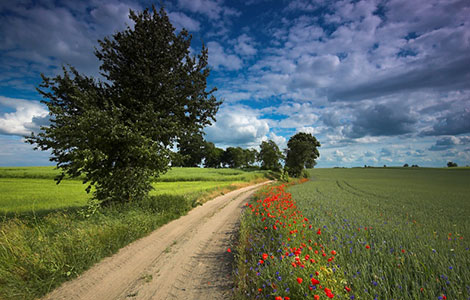 Chemin hors du stress